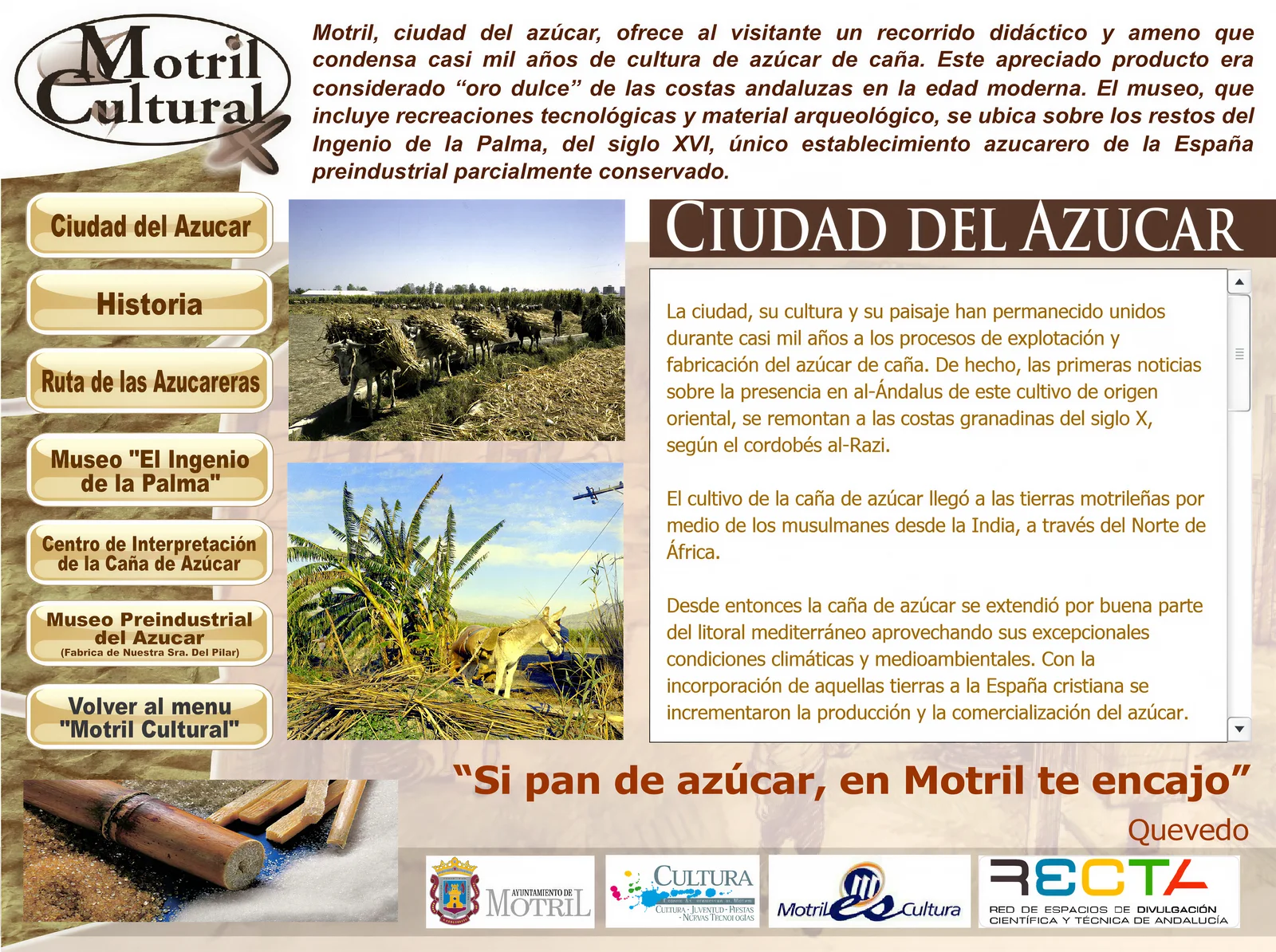 Captura de la sección Cultura del Azúcar del proyecto original en Flash